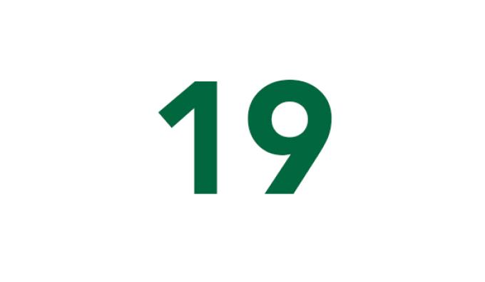 19