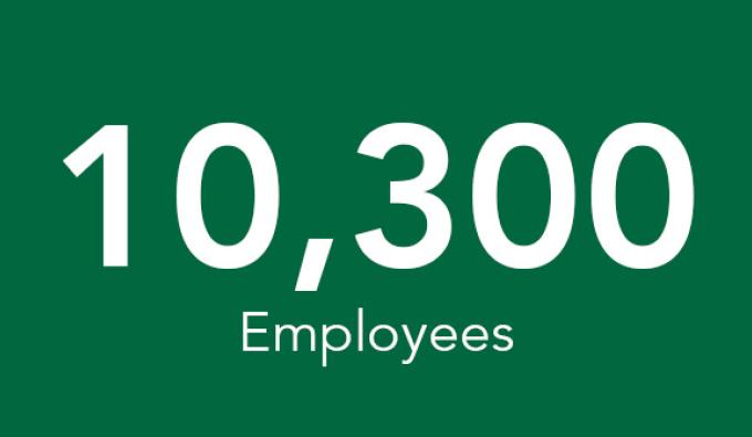 Employees