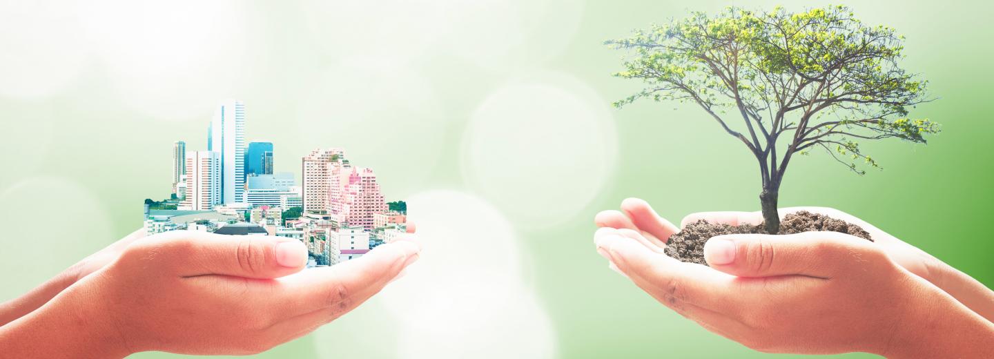 Sustainability Focus Areas