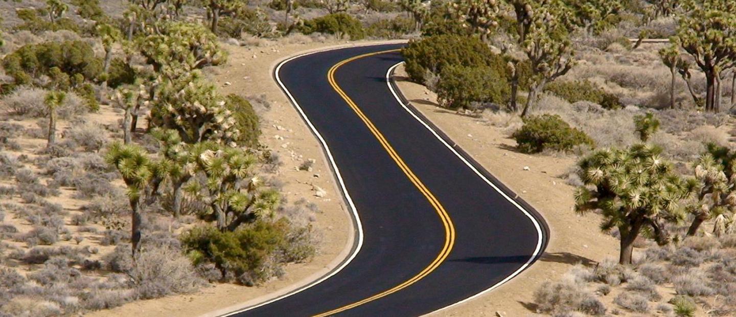 Joshua Tree National Forest Pinto Basin Road