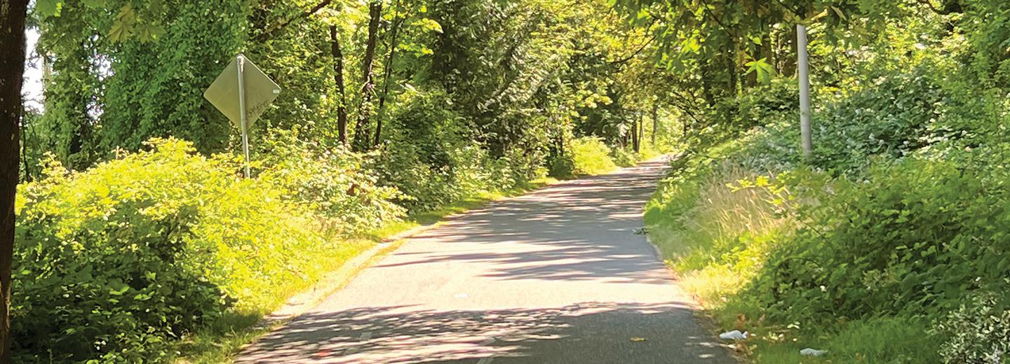 Granite Awarded Burke-Gilman Trail Project in Seattle